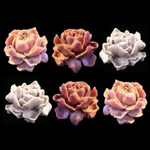 NEW Goat Milk 6 pc Luxury Rose Soap-free Scented Moisturizing Hand & Body Wash